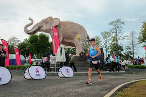 BIB: 
                            <button type="button" onclick="openModal(26529046)" class="btn btn-primary btn-sm float-right btn-popup" data-toggle="modal" data-target=".modal-high-quality">
                        <i class="fas fa-shopping-cart"></i> Add to Cart
                    </button>
                                            <button type="button" onclick="isThisMe(26529046, true)" class="btn btn-success btn-sm float-right btn-popup btn-isme hidden" data-toggle="tooltip" data-placement="bottom" title="นี่คือรูปของคุณใช่ไหม คลิกที่นี่เพื่อเอาเข้าอัลบั้ม">
                        <i class="fas fa-plus"></i> Add to album
                    </button>
                    <button type="button" onclick="isThisMe(26529046, false)" class="btn btn-warning btn-sm float-right btn-popup btn-isnotme hidden">
                        <i class="fas fa-ban"></i> Remove from album
                    </button>